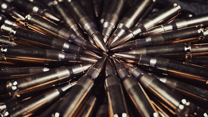 Cartridges (caliber .308 lying) in a circle