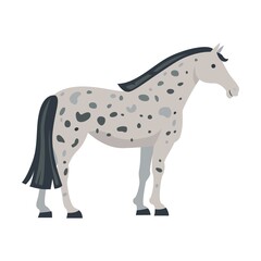 Mustang standing. Breed of horse flat vector illustration. Colorful domestic animals and running isolated on white