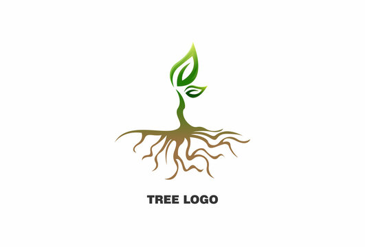 root of the tree logo. natural tree logo template
