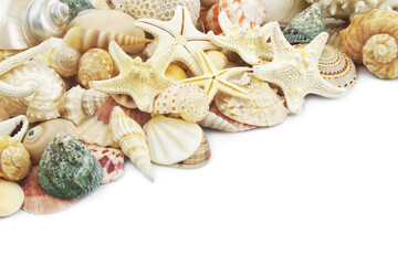Starfishes with corals and seashells isolated on white background. Copy space for text.