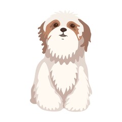 Cartoon smart dog breeds flat icon. Happy pet vector illustration. Corgi, Basenji, Dachshund, malamute, Samoyed. Mammals and animals concept