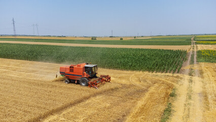 Obraz premium Aerial top view of the agricultural harvester, combine as cutting and harvesting mature wheat on farm fields.