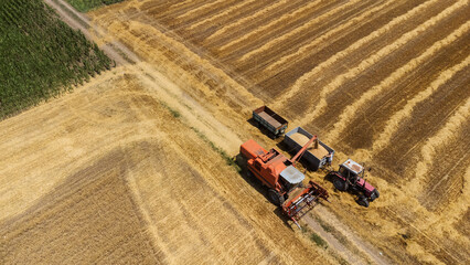 Tractor picking up the crop to bring to the storage tank from the combine harvester
