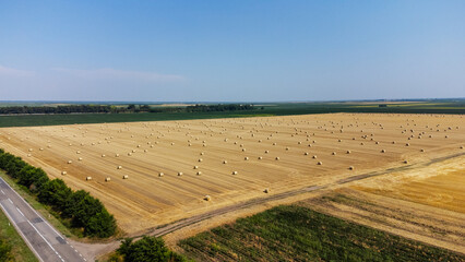 Fototapeta na wymiar Aerial view of harvested wheat field and blue sky at the background. Haystacks lay upon the agricultural field. Photo is taken with drone.