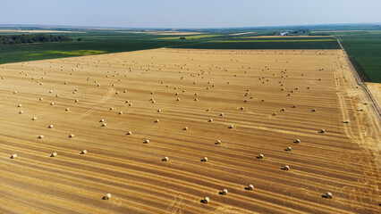 Aerial view of harvested wheat field and blue sky at the background. Haystacks lay upon the agricultural field. Photo is taken with drone.