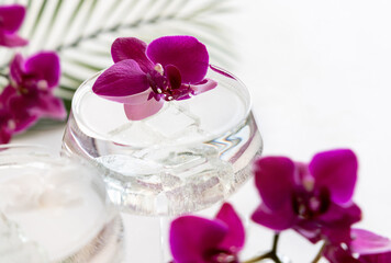 Fototapeta na wymiar Transparent cocktail in a glass decorated with purple orchid flowers close up
