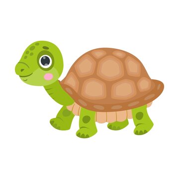 Funny strolls tortoise cartoon character. Vector illustrations for nature. Green baby turtle