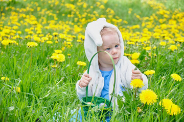 happy child dressed as rabbit sits on a field with dandelions