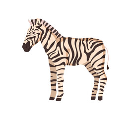 Zebra african animal, wild horse with striped body. Vector Africa or safari flat cartoon animal with black and white stripes, exotic tropical mammal with camouflage skin