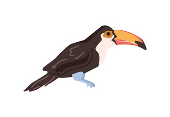 Toucan wildlife and nature of Africa, isolated bird with massive beak and black plumage. Avian animals living in wilderness. Flat cartoon, vector illustration