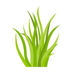 Grass pattern flat icon. Leaf borders, flower elements, nature background vector illustration. Green land concept for template design
