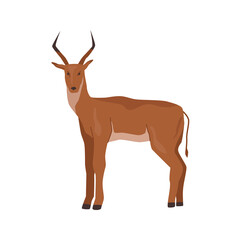 Deer or buck, isolated antelope with big antlers. African nature and fauna diversity. Horned stag herbivore creature from zoo or wildlife park. Flat cartoon, vector illustration