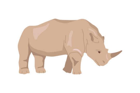 Rhinoceros African fauna and endangered animals, isolated rhino. Herbivore creature living in wilderness habitat of species. Flat cartoon, vector illustration