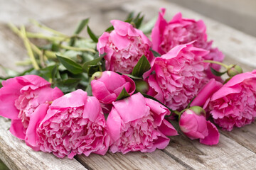bouquet of pink peony flowers on a wooden background,postcard