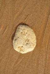 Fototapeta na wymiar Close Up of Small Isolated Stone on Wet Sandy Beach 