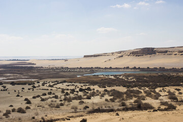 Fototapeta na wymiar Magic lake - Desert of Fayoum Oasis - Egypt