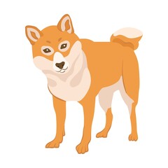 Cartoon trained dog breeds flat icon. Happy pet vector illustration. Corgi, Basenji, Dachshund, malamute, Samoyed. Mammals and animals concept