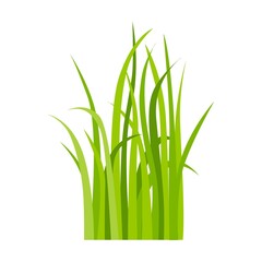 Green grass icon. Leaf borders, nature background vector illustration. Green land concept for template design