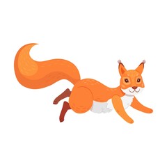 Obraz premium Cartoon animal with furry tail holding nut, jumping, moving. Cute red squirrel. Flat vector illustrations for wildlife, mammals, forest fauna