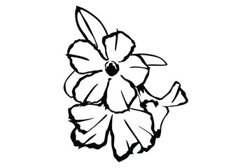 flower line art vector