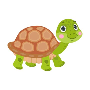 Cute funny tortoise cartoon character sleeping, dancing, swimming, hiding in shell, hatching. Vector illustrations for nature. Green baby turtle