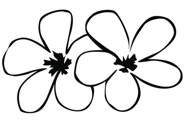 flower line art vector