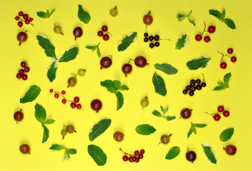Background from fresh summer berries and mint leaves. Berries set from ripe gooseberry ,red currents and mint leaves іisolated on yellow background. Healthy vitamin dessert concept. Top view ,flat lay