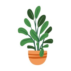 Colorful pot, succulent, home garden, indoor trees. Potted plant. Vector illustration for interior, botany, house decoration