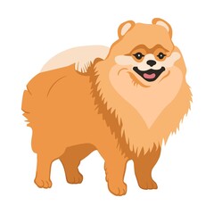 Cartoon fluffy dog breeds flat icon. Happy pet vector illustration. Corgi, Basenji, Dachshund, malamute, Samoyed. Mammals and animals concept