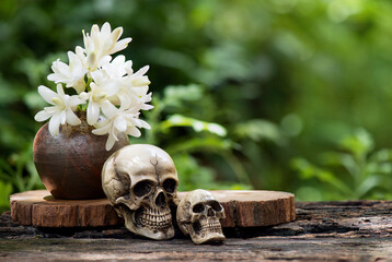 Tuberose flowers and old skull on nature background.