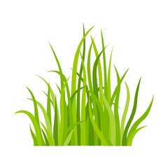 Green grass icon. Leaf borders, flower elements, nature background vector illustration. Green land concept for template design