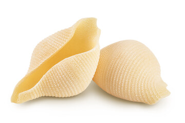Conchiglioni italian pasta isolated on white background with full depth of field