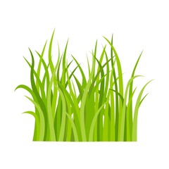 Grass flat icon. Leaf borders, nature background vector illustration. Green land concept for template design