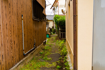 雑草の生い茂った住宅の間の狭い路地