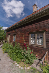 Fototapeta na wymiar Old log house with hollyhocks in a summer flowerbed, a summer day in Stockholm