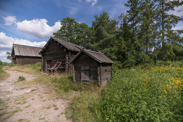 Fototapeta na wymiar Old log farm houses with birch barks and wood tile roofs in a park, a summer day in Stockholm