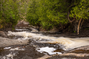 Fototapeta premium Cascade River Waterfall In The Woods