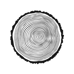 Fototapeta premium Round tree trunk cut, sawn pine or oak slice. Saw cut timber, wood. Wooden texture with tree rings. Hand drawn sketch. Vector illustration
