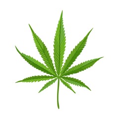 Marijuana leaves flat icon. Hemp, cannabis, weed leaves isolated vector illustration collection. Drug plant cultivation