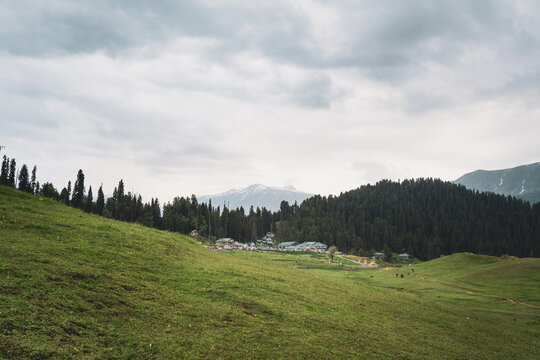 This photo depicts the peace and heavenly beauty that prevails in the valley of Kashmir which has been engulfed by the terrorism, Gulmarg, Kashmir, India.