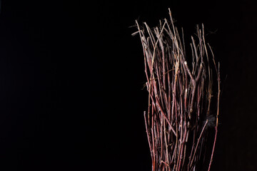 birch broom on a dark background