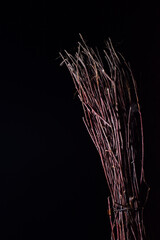 birch broom on a dark background