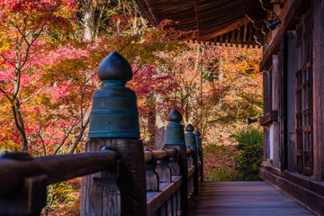 播州清水寺（兵庫県加東町）の紅葉