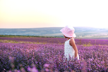 Little charming girl walks in a lavender field at sunset.