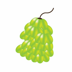 Bunch of Grapes - Vector Illustration