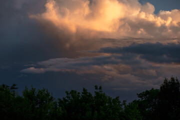 Fototapeta premium Clouds at sunset over the trees