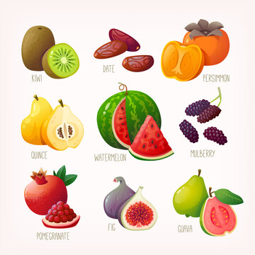 Set of fresh tropical fruit and berries with names. Isolated vector images of tasty sweet exotic organic grocery.