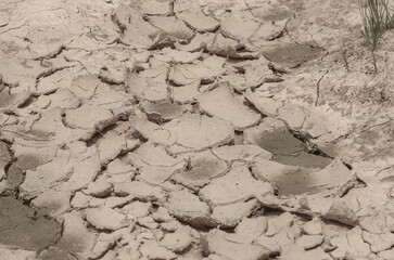 soil background