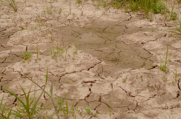 soil background