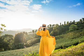 Asian female tourist in yellow dress at green tea plantation with natural light in the morning, Chiang Rai, Thailand. - obrazy, fototapety, plakaty